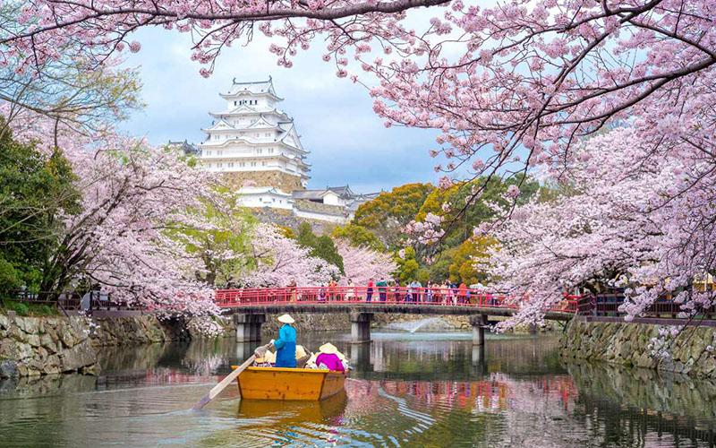 日本移民投資好嗎？深入分析日本投資移民的優(yōu)勢與挑戰(zhàn)