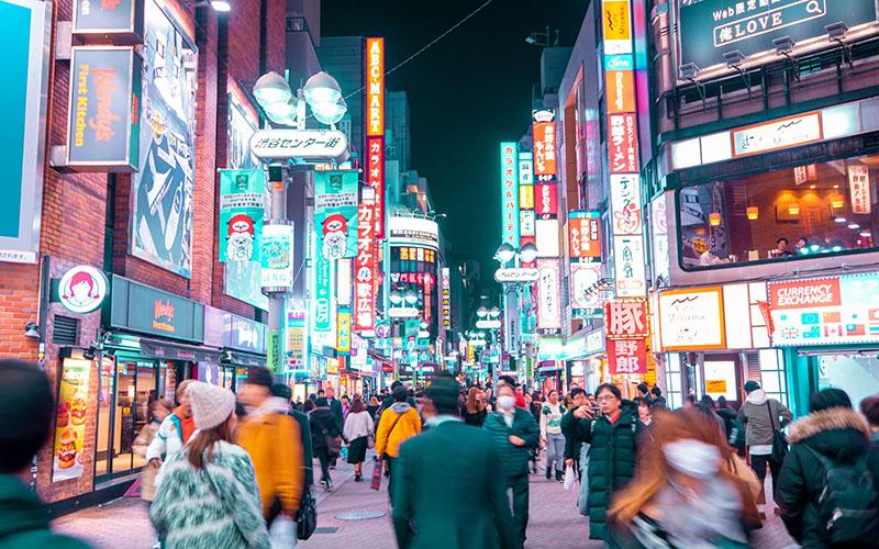 日本移民機構費用多少？全面解析費用構成及選擇建議